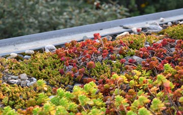 the cost of St Ishmaels green roof installation