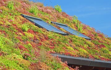 St Ishmaels living roof systems
