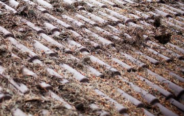 St Ishmaels roof cleaning companies